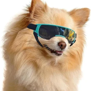 Dog Sunglasses